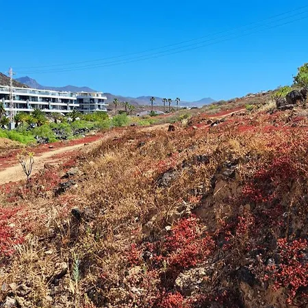 Daire Casa Nora Palm-mar