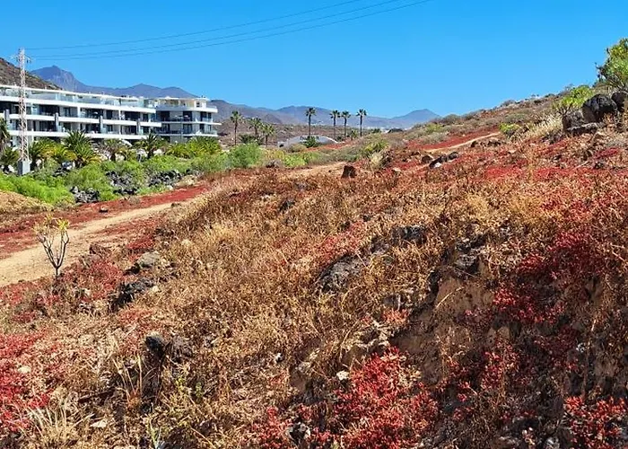 アパート Casa Nora パルム・マール